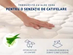 aloe-matt-4