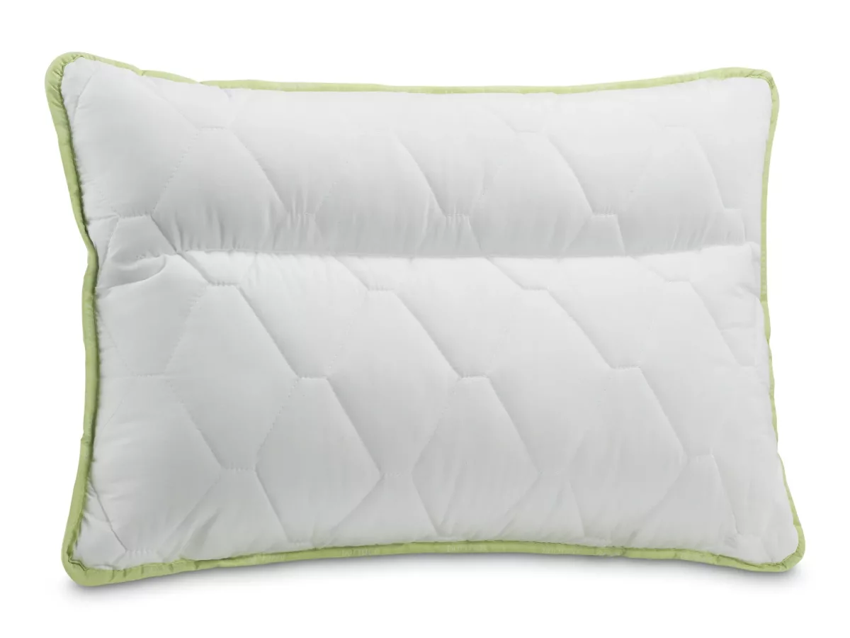 Perna anatomica Aloe Vera