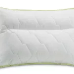 Perna anatomica Aloe Vera