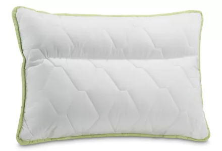 Perna anatomica Aloe Vera