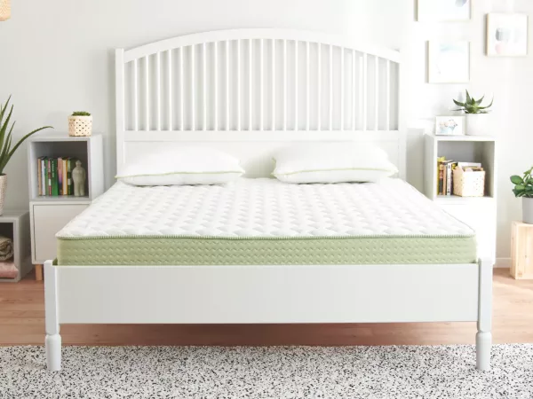 aloe_vera_plus_memory_mattress_02_4