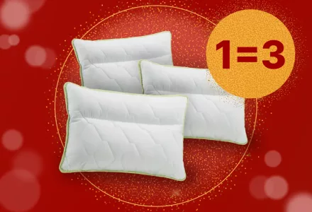 Perna anatomica Dormeo Aloe Vera 50x70 cm