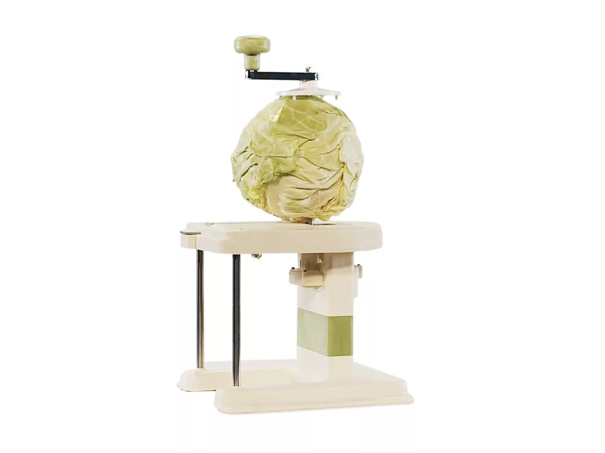 Feliator de varza Express