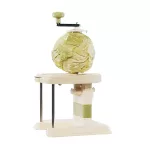 Feliator de varza Express