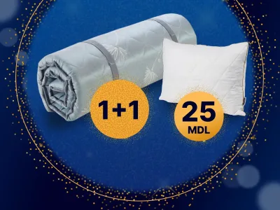 Perna clasică Zlata- Product 4