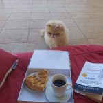 Attachment image of Dayya's review on Set din cuvertura si perna Dormeo Warm Hug