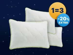 Pernă clasică Dormeo Aloe Vera 50x70 cm