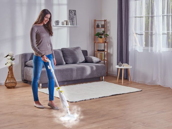 rovus_nano_floor_steamer_plus_accessory_set_02