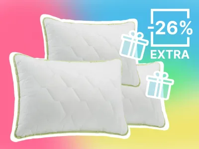 Pernă clasică Dormeo Aloe Vera 50x70 cm