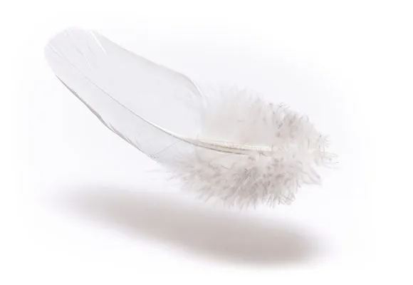 Plapuma Aloe Vera Dormeo