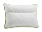 aloe_vera_pillow_anatomici