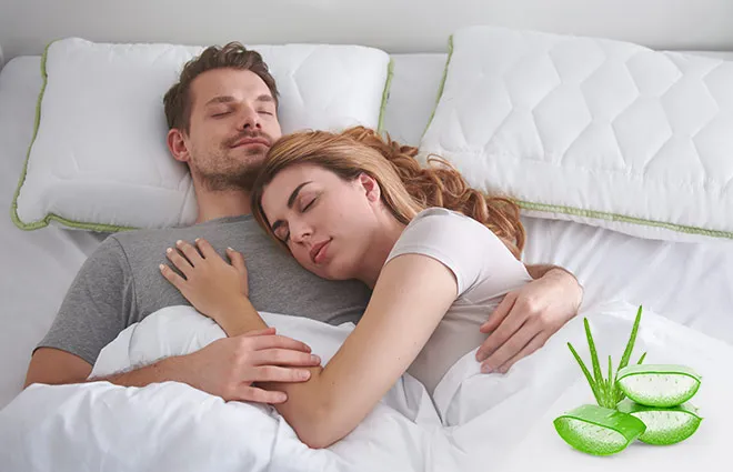 подушка Dormeo Aloe Vera