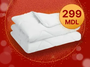 Plapuma Dormeo Begonia