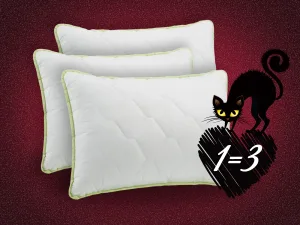 Pernă clasică Dormeo Aloe Vera 50x70 cm