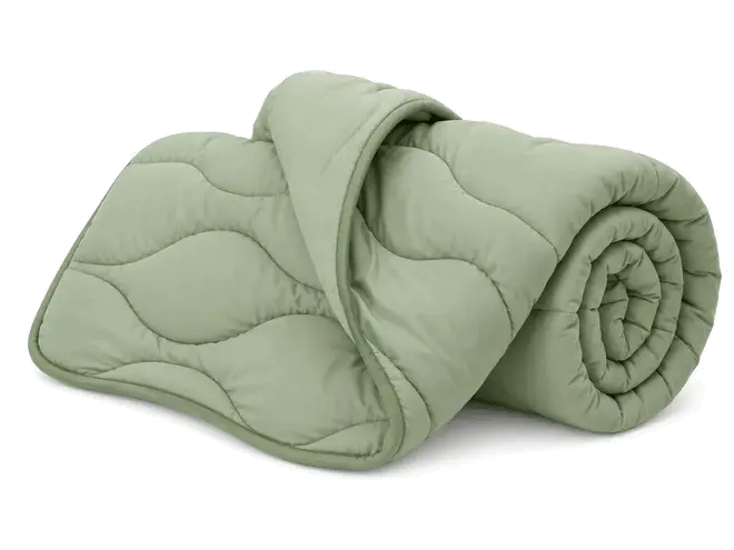 Set plapumă și pernă Dormeo Nature Eucalyptus